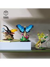 LEGO Ideas 21342 The Insect Collection - Sense42 Beauty and Health
